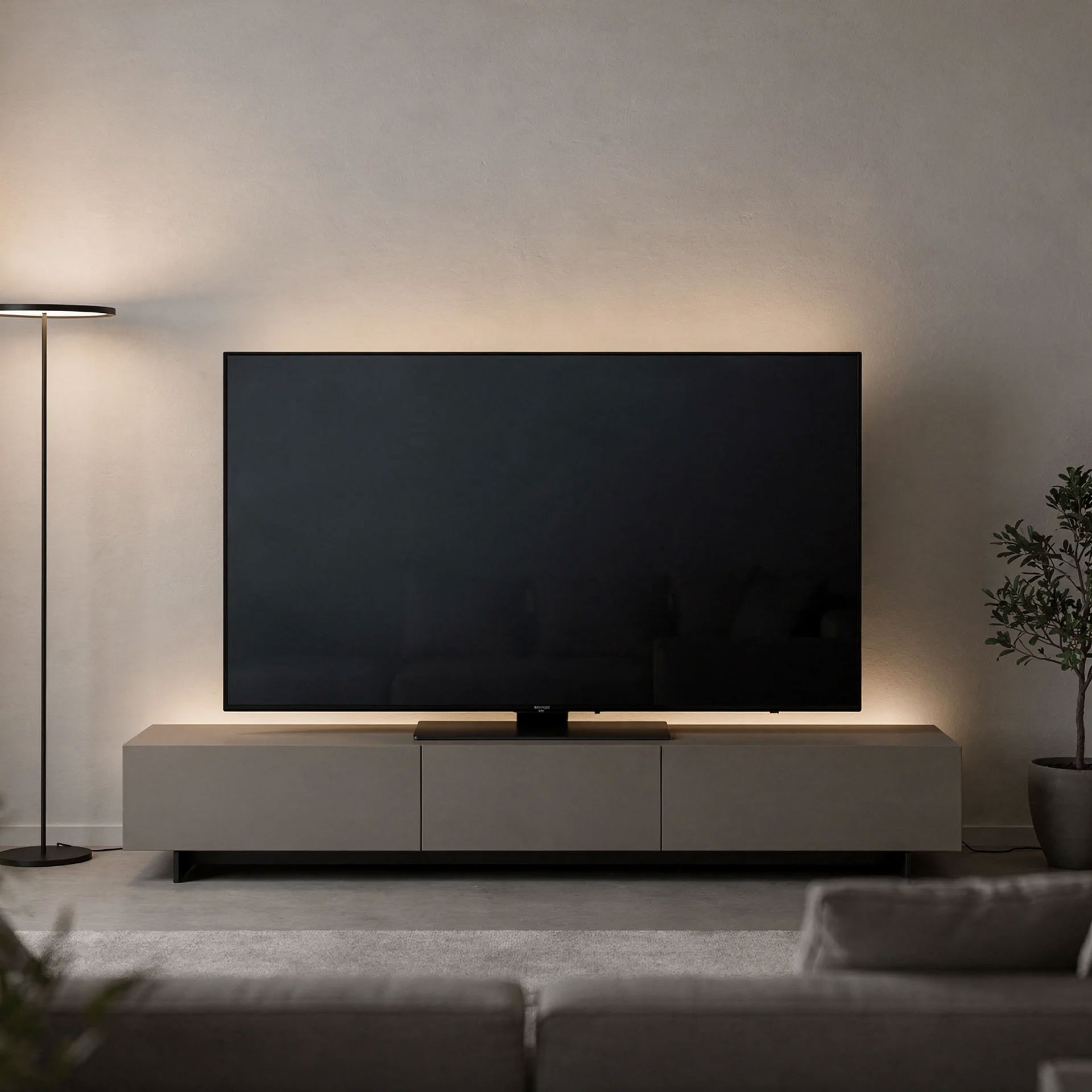 TV
